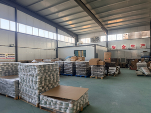 Enterprise Atlas (20)